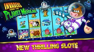 dragon138 login historical Togel draw results and upcoming schedule displayed on account dashboard